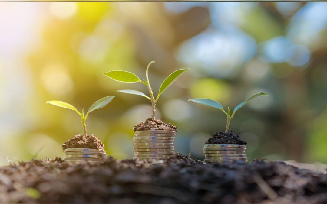 The Rise of Sustainable Finance: Green Fintech Solutions 