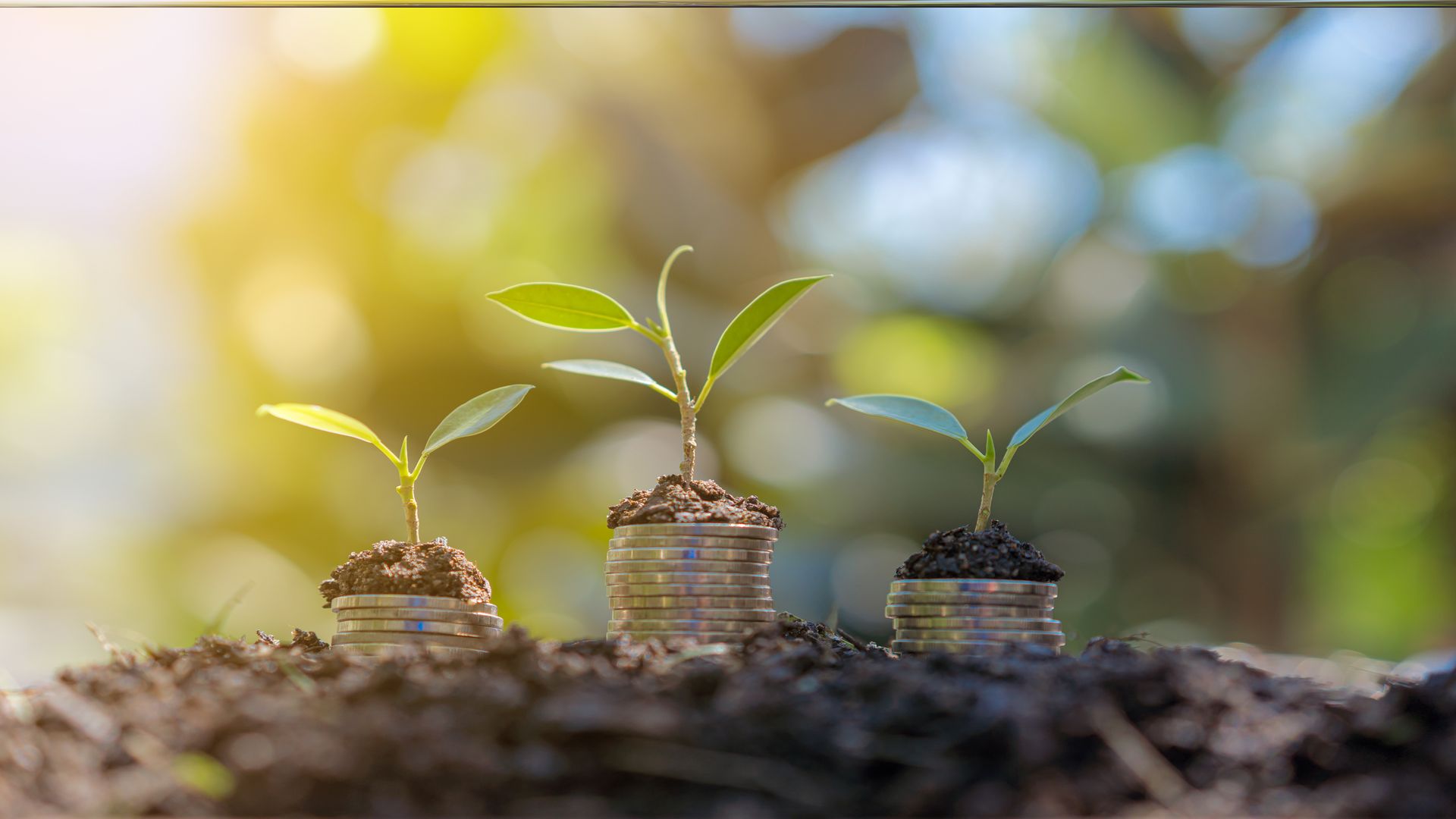 The rise of sustainable finance is being propelled by green fintech solutions, which integrate environmental, social, and governance (ESG) criteria into financial services to promote eco-friendly investments and support the transition to a low-carbon economy.